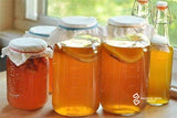 Bộ 5 món công thức Kombucha sau đây sẽ khiến bạn mê mẩn