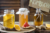 Kombucha và các kiến thức liên quan