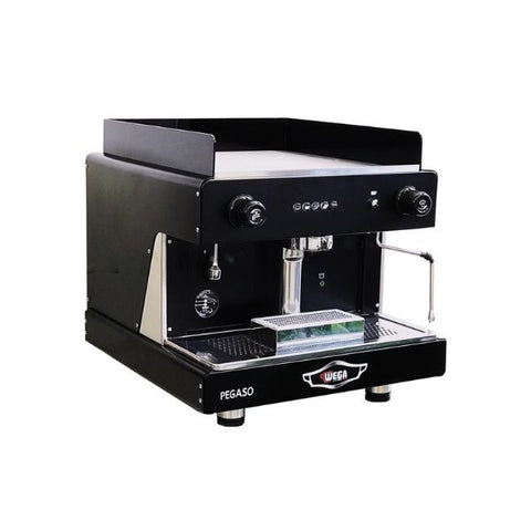 Máy pha cà phê chuyên nghiệp Wega Pegaso EVD 1GR