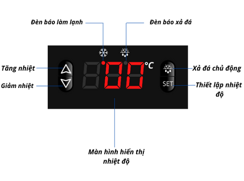 Tủ đông mát đứng quạt gió 2 cánh inox 600L Đức Minh DMDQ.2 I600